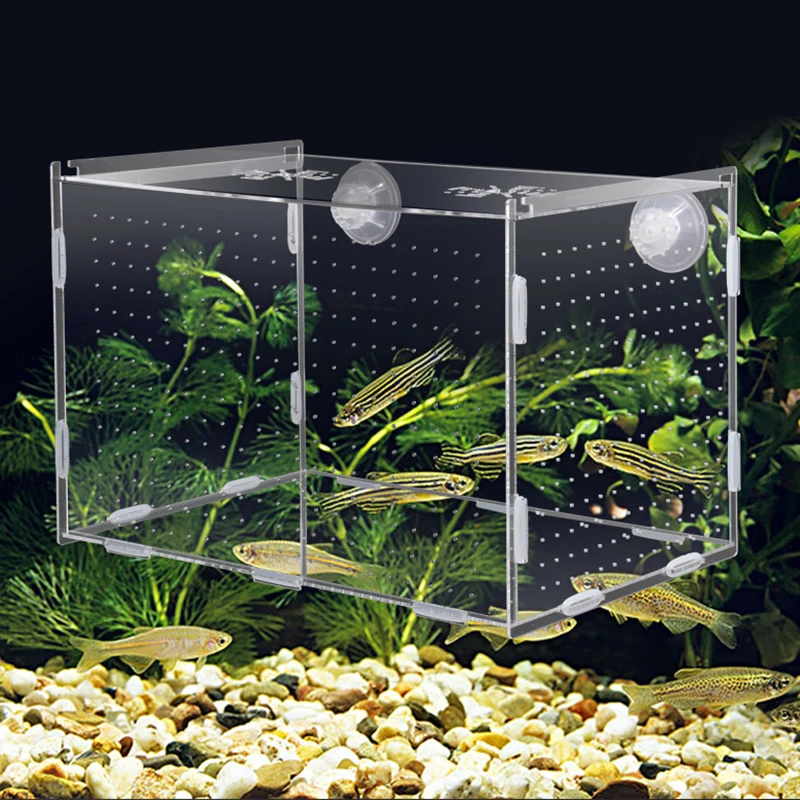 Fish Tank Small Fry Breeding B - Marine Aquarium Hobby recensie en prijs
