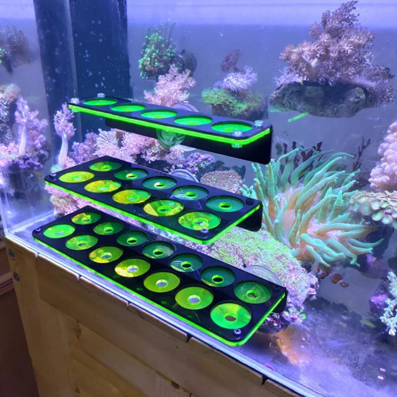 Fish Tank Fluorescent Coral Fr - Marine Aquarium Hobby recensie en prijs