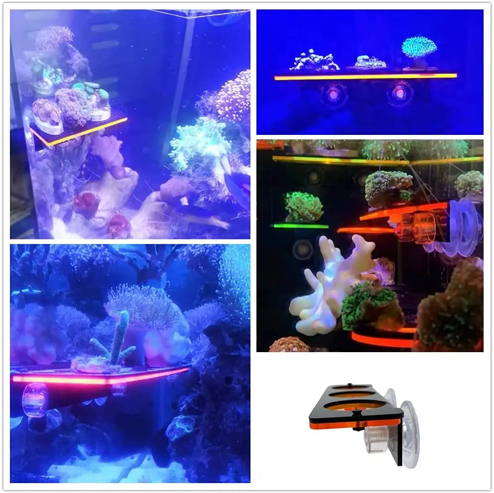 Fish Tank Fluorescent Coral Fr - Marine Aquarium Hobby recensie en prijs