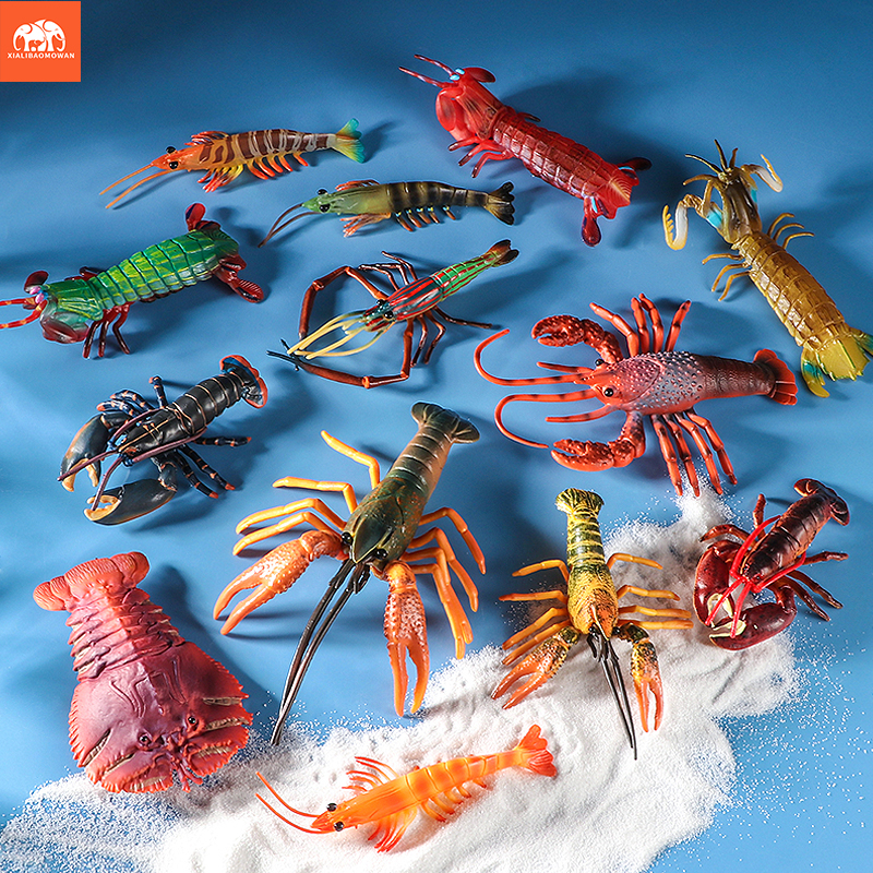 Sea Life Animals Boston Lobste - Marine Life Aquariums recensie en prijs