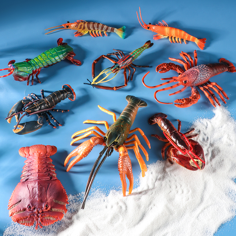 Sea Life Animals Boston Lobste - Marine Life Aquariums recensie en prijs