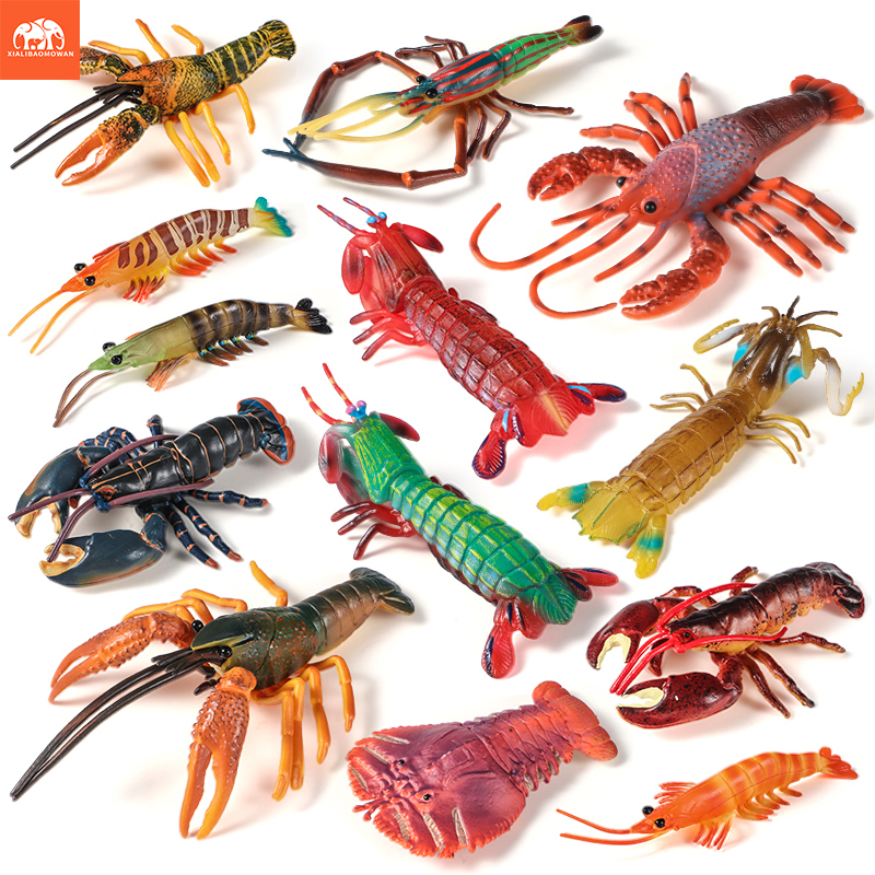 Sea Life Animals Boston Lobste - Marine Life Aquariums recensie en prijs