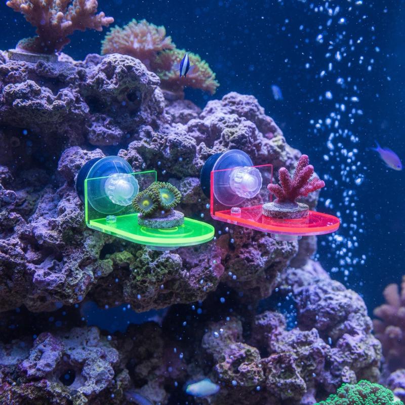 1Pcs Acrylic Fluorescent SPS C - Coral Frag Plug recensie en prijs